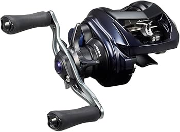 Amazon | ダイワ(DAIWA) ベイトリール 23SALTIST SV TW 80XH PE